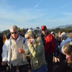 Cambria_0239 (November 02, 2013)